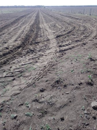 Vorbereitung des Landes für die Bepflanzung in Argentinien mit Traktoren. Die Pflugfurche ist die geradlinigste Linie, die auf der Erde gezogen werden kann, mit der die Zukunft Argentiniens geschrieben wird..