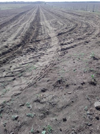 Foto de Preparación de la tierra para plantar en Argentina con tractores.El surco de arado es la línea más recta que se puede dibujar en la tierra, con la que se escribe el futuro de Argentina. - Imagen libre de derechos