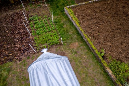 Photo for Aerial view of DIY low tunnel greenhouse in a home garden. Polytunnel, autumn garden, cold weather crop protection background. - Royalty Free Image