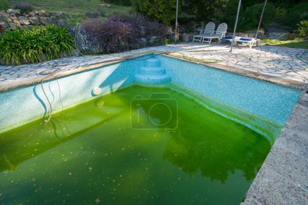 Ancienne piscine en mosaïque avec une fuite et des algues vertes