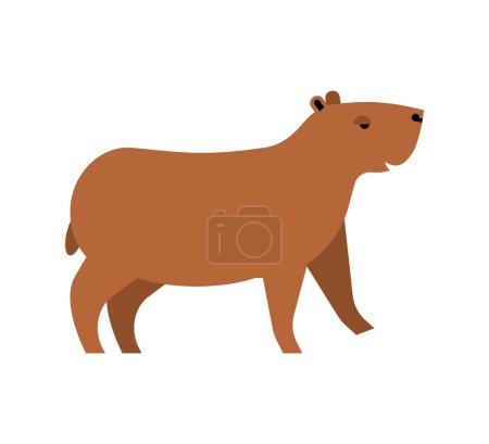 Illustration for Capybara isolated. guinea pig Vector illustration - Royalty Free Image