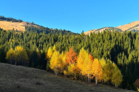 Beautiful autumn in the mountains of Rugovo Kosovo