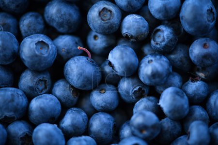 Photo for Blueberries have a high number of vitamins that boost brain health - Royalty Free Image