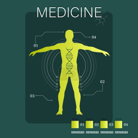 Illustration for Vector illustration of medicine infographics. Schematic description of the human body. - Royalty Free Image