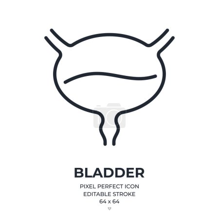 Bladder organ editable stroke outline icon isolated on white background flat vector illustration. Pixel perfect. 64 x 64.