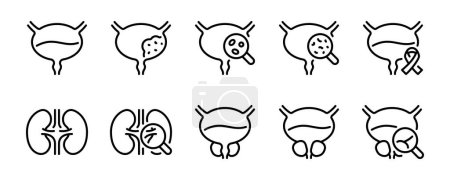 Illustration for Urology and urinary system related editable stroke outline icon isolated on white background flat vector illustration. Pixel perfect. 64 x 64. - Royalty Free Image