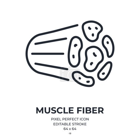 Illustration for Muscle fiber and tissue editable stroke outline icon isolated on white background flat vector illustration. Pixel perfect. 64 x 64. - Royalty Free Image