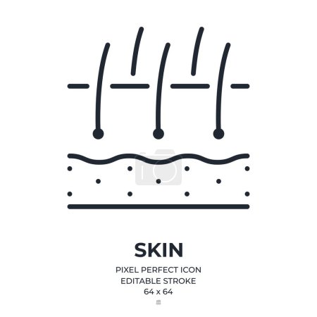 Skin epidermis editable stroke outline icon isolated on white background flat vector illustration. Pixel perfect. 64 x 64.
