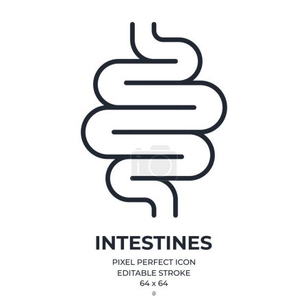 Illustration for Gut, intestines and digestive system editable stroke outline icon isolated on white background flat vector illustration. Pixel perfect. 64 x 64. - Royalty Free Image