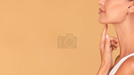 Photo for Facial treatment concept. Profile portrait of beautiful caucasian woman with perfect skin touching her chin, posing over beige studio background, panorama with copy space - Royalty Free Image