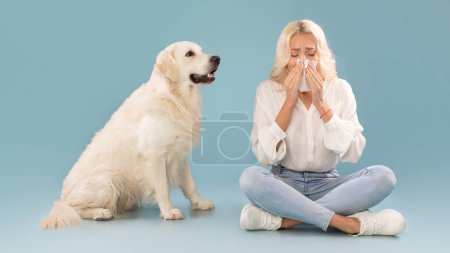 Photo for Animal allergy concept. Sick young woman sneezing and holding tissue, ill lady suffering from nasal congestion and runny nose caused by her dog, blue studio background - Royalty Free Image