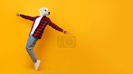 Téléchargez les photos : Funny man with animal white labrador retriever head dancing to favorite song standing on tiptoes isolated over yellow orange studio background wall, looking at copy space, banner, collage - en image libre de droit
