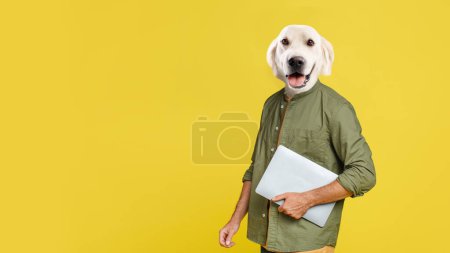 Téléchargez les photos : Male freelancer with happy dog white labrador head posing with laptop over yellow studio background, looking at camera with tongue out, panorama with copy space, collage. Remote job concept - en image libre de droit