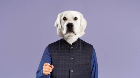 Foto de Stylish man with animal dog white labrador retriever head wearing smart casual outfit blue shirt and black waistcoat posing on lilac studio background, pointing at camera, copy space, collage - Imagen libre de derechos