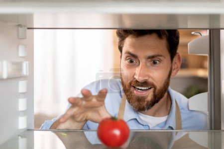 Photo for Smiling inspired hungry handsome adult caucasian man with beard takes out tomato from refrigerator in kitchen interior, inside, close up. Household chores and cooking at home, diet and idea for lunch - Royalty Free Image
