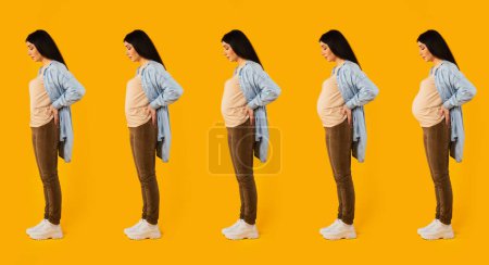 Photo for Full length shot of woman with different stages of pregnancy standing over yellow studio background, side view, panorama, collage - Royalty Free Image