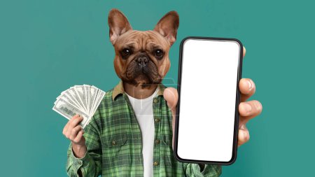 Foto de Apuestas, apuestas en línea. Hombre elegante hipster con cabeza de bulldog francés que muestra billetes en efectivo en dólares y teléfono celular, blanco espacio de copia de pantalla en blanco para el anuncio, fondo colorido, maqueta, collage - Imagen libre de derechos