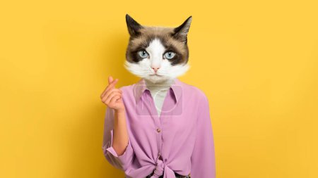 Photo for Give me money. Woman with head of sweet pussy cat showing money gesture on yellow studio background, banner, copy space, collage for gestures concept - Royalty Free Image
