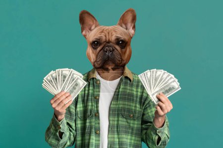 Foto de Gran victoria, lotería, sorteo. Tipo con la cabeza del bulldog francés hipster sosteniendo montón de dinero en efectivo en ambas manos, posando sobre fondo de estudio turquesa, collage - Imagen libre de derechos