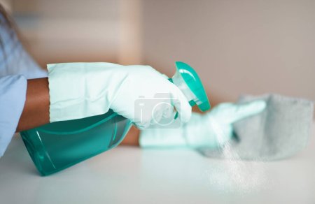 Photo for Unrecognizable african american woman in workwear maid cleaning apartment, female hands in rubber gloves using detergent spray and duster cloth, cropped. House-keeping service, professional cleaning - Royalty Free Image