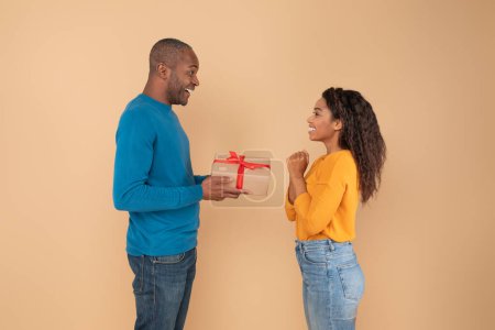 Téléchargez les photos : Homme noir excité donnant cadeau à la femme, mari d'âge moyen aimant donnant cadeau à sa dame excitée, fond studio beige, vue de côté. Célébration anniversaire ou anniversaire - en image libre de droit