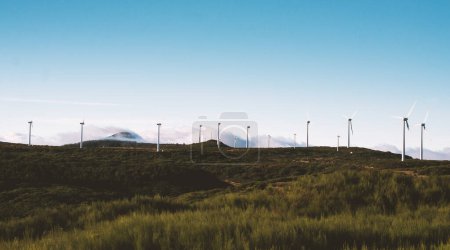 Photo for Renewable Eco Energy. Many High Windmills Turbines Generating Green Electiricity Outdoors. Sustainable Energy Sources And Modern Electric Technology Concept. Panoramic Landscape - Royalty Free Image
