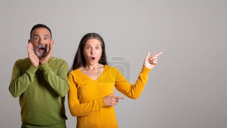 Photo for Cheerful shocked european old husband and wife with open mouth point finger at empty space on gray studio background, panorama. Huge surprise, ad and offer, sale recommendation - Royalty Free Image