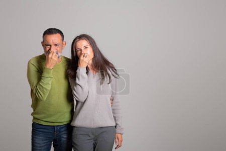 Téléchargez les photos : Triste vieux couple européen en colère couvrir nez avec la main souffrent d'odeur puante et mauvaise sur fond de studio gris. Les gens émotions, le stress et le dégoût, problèmes d'hygiène, annonce, offre - en image libre de droit
