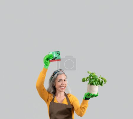 Téléchargez les photos : Vieille femme européenne gaie en tablier et gants en caoutchouc tenir pot avec plante verte et paquet de graines, profiter du travail, passe-temps sur fond de studio gris. Jardinier et agriculteur, annonce et offre - en image libre de droit