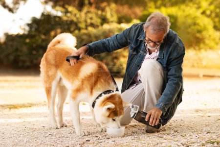Téléchargez les photos : Vieil homme européen joyeux dans occasionnel aime marcher avec un chien, verse de l'eau à l'extérieur de l'assiette. Soif et chaleur, soin des animaux, amour pour le meilleur ami et temps libre en ville, annonce et offre - en image libre de droit