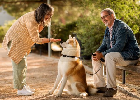 Positive senior caucasian wife and husband in glasses have fun with dog, sit on bench in park, outdoor, full length. Couple enjoy active lifestyle, pet care, animal training