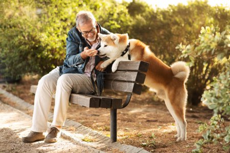 Téléchargez les photos : Heureux homme âgé caucasien avec barbe dans les lunettes donne à renifler sa main au chien, l'entraînement dans le parc, profiter de l'amour en plein air. Soins des animaux, promenade avec des animaux et du plaisir ensemble, retraite et mode de vie actif - en image libre de droit