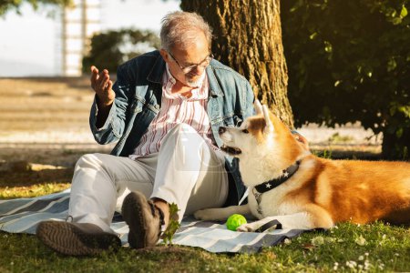 Froh kaukasischer Senior mit Bart und Brille spielt Ball mit Hund, genießt Picknick im Park, Ruhestand und aktiven Lebensstil, im Freien. Spaziergang mit Haustier, Liebe und Spaß mit Tier