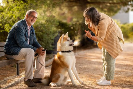 Téléchargez les photos : Heureux couple d'âge mûr européen joyeux jouer avec le chien, profiter de la promenade ensemble, l'entraînement animal de compagnie dans le parc le week-end d'été, en plein air, pleine longueur. Amour, temps libre, soin des animaux, publicité et offre - en image libre de droit