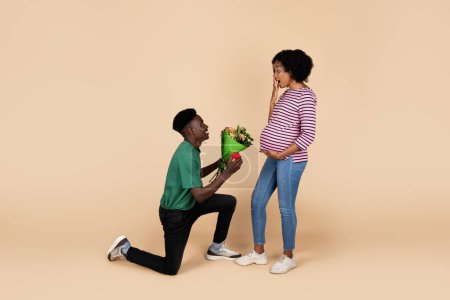 Photo for Happy millennial african american husband kneeling gives bouquet of flowers to woman with big belly, isolated on beige background, studio. Love, relationship, proposal, expectation baby - Royalty Free Image
