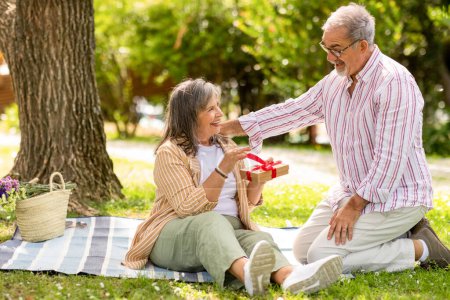 Photo for Glad senior european man and woman on plaid, enjoy romantic date, husband gives present box to lady in park. Celebration birthday, anniversary, holiday at summer and congratulation - Royalty Free Image