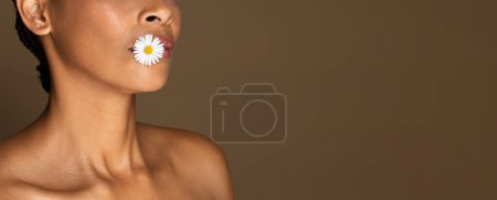 Téléchargez les photos : Femme d'âge moyen noire méconnaissable posant avec une petite fleur de camomille blanche dans la bouche, debout sur fond de studio brun, panorama avec espace libre, bannière - en image libre de droit