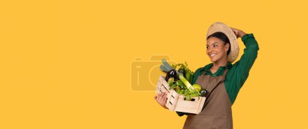 Foto de Verduras orgánicas, pancarta del mercado con la mujer negra feliz del granjero en la caja de tenencia del sombrero con las zanahorias, las berenjenas y los pimientos, oferta orgánica de la publicidad de la comida en el fondo amarillo. Panorama, Copiar espacio - Imagen libre de derechos
