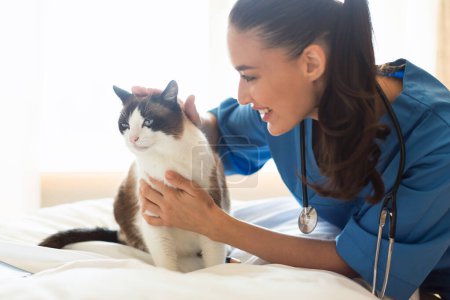 Photo for Pet Health Check Up. Caring Veterinarian Lady Examining And Comforting a Cat During Appointment At Modern Veterinary Clinic Interior. Vet Nurse Bonding With Fluffy Patient During Visit - Royalty Free Image