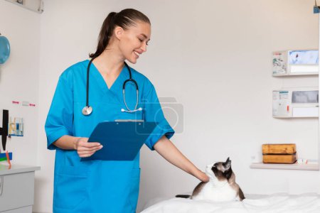 Téléchargez les photos : Joyeux médecin vétérinaire Lady Interagir avec le chat pendant le bilan de santé vétérinaire, examinant animal de compagnie debout avec presse-papiers à l'intérieur de la clinique vétérinaire moderne. Soins de santé des animaux domestiques - en image libre de droit