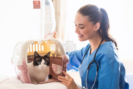 Photo for Professional Pet Care. Veterinarian doctor woman opening carrier with domestic cat, welcoming furry patient during medical appointment for health check up at animal clinic - Royalty Free Image