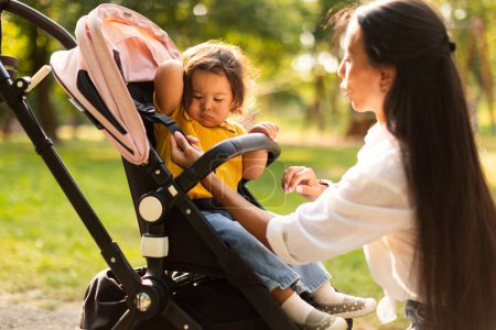 Photo for Chinese Mom Caring For Baby Daughters Comfort And Safety During Walk In Stroller At Park Outside, Adjusting Safety Straps, Selective Focus On Toddler Girl Sitting In Her Transport - Royalty Free Image