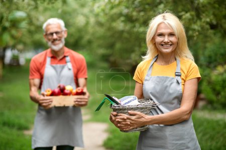 Téléchargez les photos : Couple d'agriculteurs âgés souriants debout dans le verger de fruits après la récolte, heureux homme et femme âgés portant tabliers tenant caisse pleine de pommes et outils de jardinage, profiter de la saison de cueillette - en image libre de droit