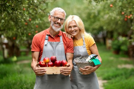 Téléchargez les photos : Portrait de heureux couple d'âge mûr posant dans un verger de fruits avec caisse pleine de pommes, joyeux conjoints âgés portant tabliers embrassant et souriant à la caméra, profiter de la saison de récolte, Copier l'espace - en image libre de droit