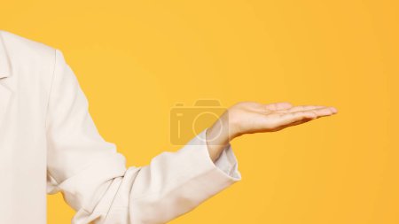 Photo for Hand of millennial korean woman in suit hold copy space, isolated on yellow studio background, panorama, cropped. Recommendation for work, sale attention, sale, ad and offer - Royalty Free Image