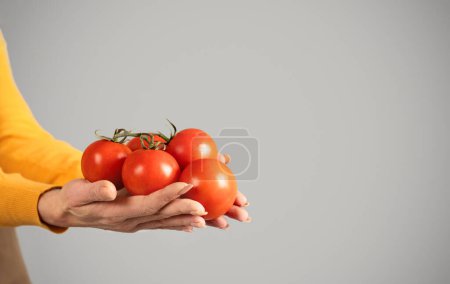 Foto de Las manos de las agricultoras mayores sostienen tomates rojos, disfrutan de la cosecha ecológica, aislados sobre un fondo gris, de cerca, recortados. Comida saludable, trabajo y hobby, anuncio y oferta, recomendación agro business - Imagen libre de derechos