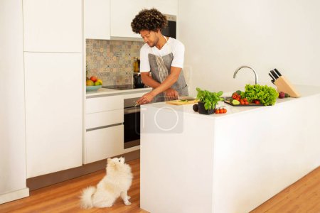 Téléchargez les photos : L'homme afro-américain offre une collation saine à son chien poméranien moelleux tout en cuisinant un dîner végétal dans l'intérieur de la cuisine moderne, soulignant le lien entre le propriétaire et l'animal de compagnie au milieu de la vie domestique - en image libre de droit