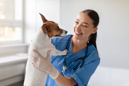 Téléchargez les photos : Un vétérinaire joyeux berce un sympathique Jack Russell Terrier, partageant un sourire lors d'une interaction positive dans la salle d'examen lumineuse d'une clinique vétérinaire - en image libre de droit