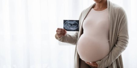 Photo for Cropped of beautiful young pregnant black woman standing next to window at home, showing baby sonogram, ultrasound image of future child, panorama with copy space - Royalty Free Image