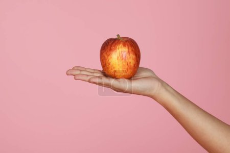 Téléchargez les photos : Gros plan d'une femme tenant à la main une pomme biologique fraîche, isolée sur fond de studio rose, cultivée. Alimentation saine, nutrition, vitamines et minéraux, espace de copie - en image libre de droit